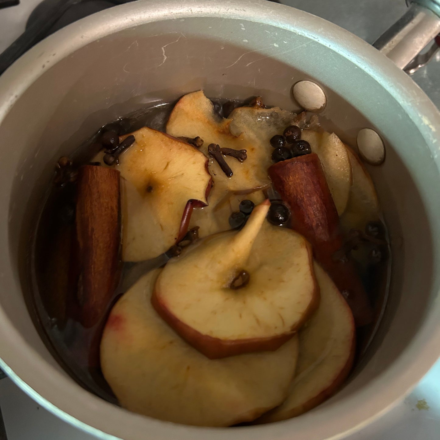 Simmer Pot Packs
